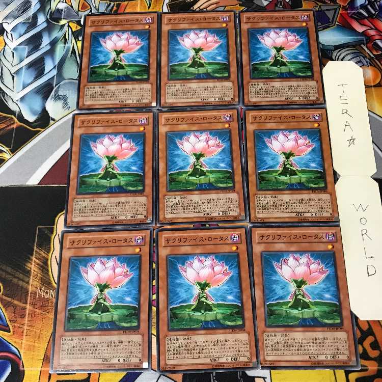 サクリファイス・ロータス 2 ノーマル 9枚セット てら