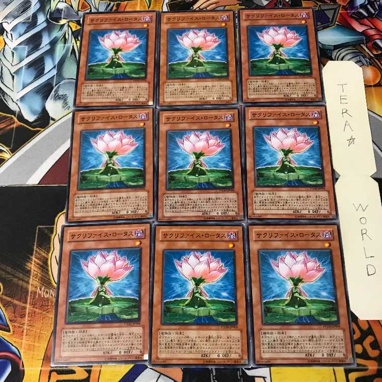 サクリファイス・ロータス 3 ノーマル 9枚セット てら