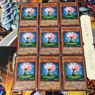 サクリファイス・ロータス 3 ノーマル 9枚セット てら