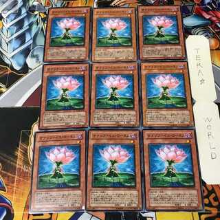 サクリファイス・ロータス 4 ノーマル 9枚セット てら