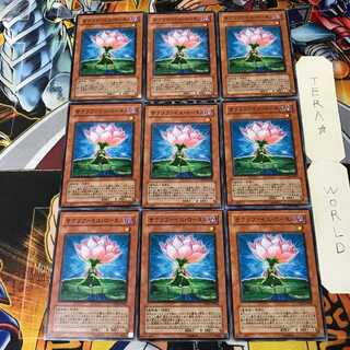 サクリファイス・ロータス 5 ノーマル 9枚セット てら