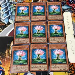 サクリファイス・ロータス 6 ノーマル 9枚セット てら