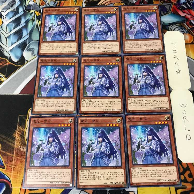 電光-雪花- 4 ノーマル 9枚セット てら