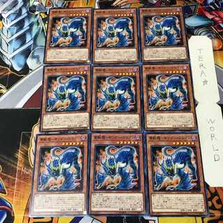 雷獣龍-サンダー・ドラゴン 5 ノーマル 9枚セット てら