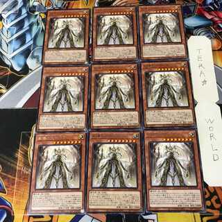 教導の大神祇官 3 レア 9枚セット てら