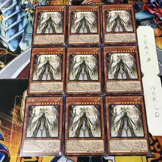Dogmatika Maximus 4 rare, set of 9 tera