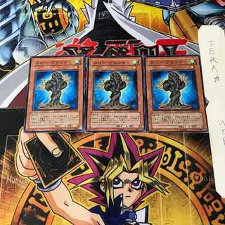 コピー・プラント CSOC 2 ノーマル 3枚セット てら