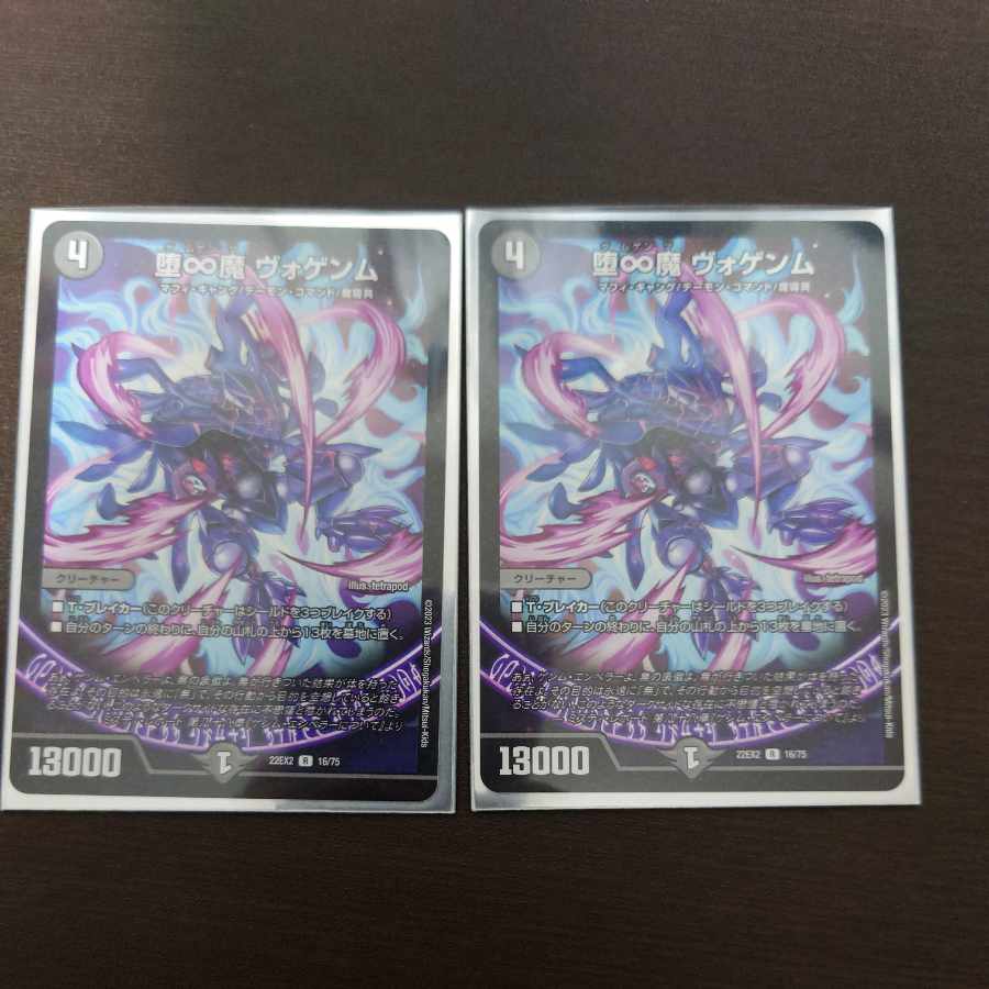 Fallen and Infinite Demon Vogenm R 16/75