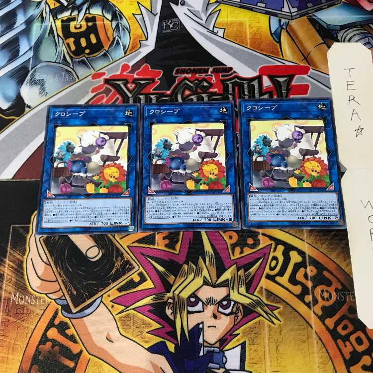 Cross-Sheep IGAS 2 Normal, set of 3 Tera.