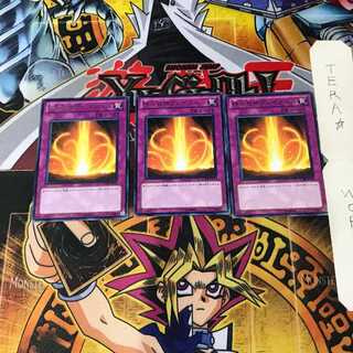 はら 様 専用 3枚