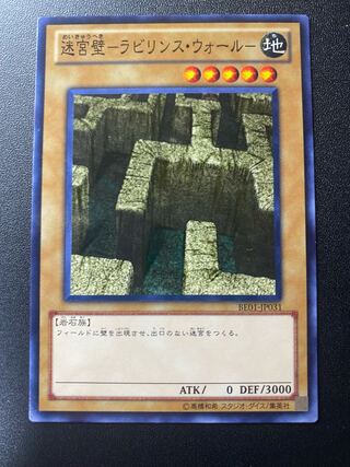 Labyrinth Wall - Labyrinth Wall - Normal JP031