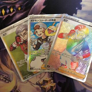 カブsr hr ポケモンブリーダーの育成sr