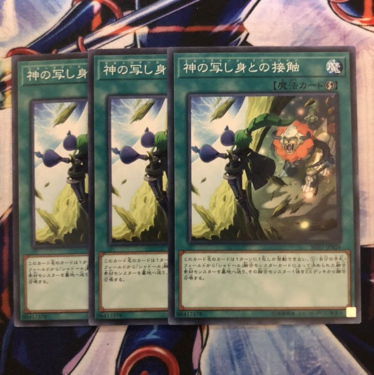 神の写し身との接触