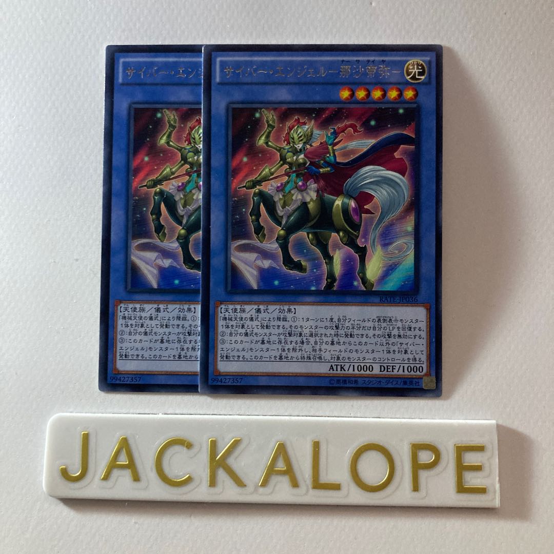 Cyber Angel - Nasa Teiya *33