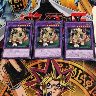 Amazoness Pet Liger CP17 2 Normal Set of 3 Terra