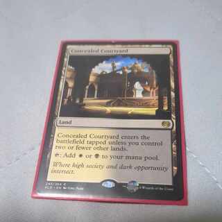 Concealed Courtyard Rare 245/264 Some scratches