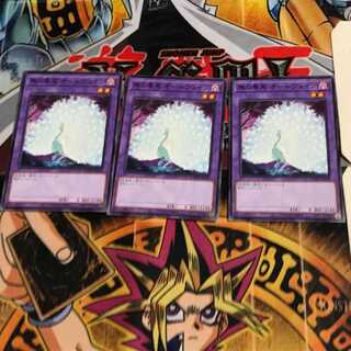 Allvain the Essence of Vanity DAMA 7 Normal Set of 3 Tera