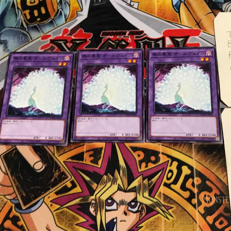 Allvain the Essence of Vanity DAMA 8 Normal Set of 3 Tera