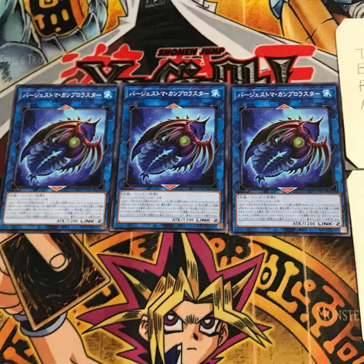 Paleozoic Cambroraster LIOV 6 Normal, set of 3 Tera.