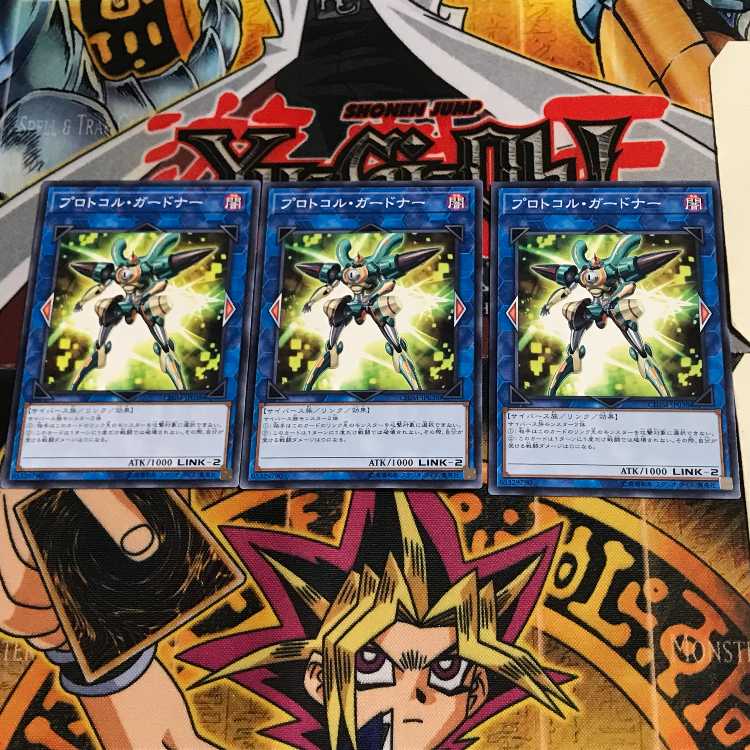 プロトコル・ガードナー CHIM 6 ノーマル 3枚セット てら