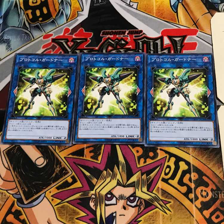 Protocol Gardna CHIM 7 Normal, set of 3 Tera