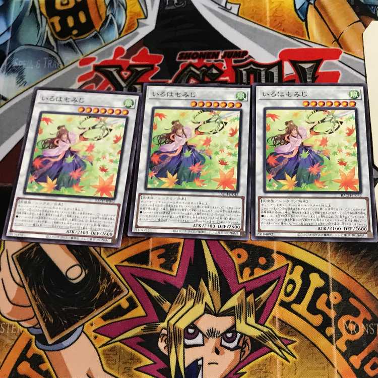 Iroha Momiji BACH 6 Normal, set of 3 Tera