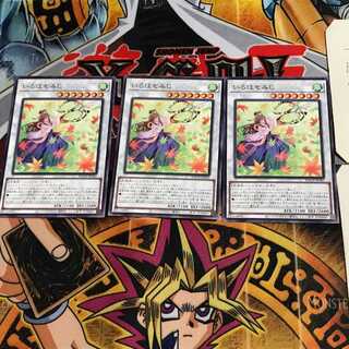 Iroha Momiji BACH 7 Normal, set of 3 Tera