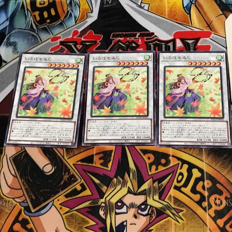 Iroha Momiji BACH 9 Normal, set of 3 Tera.