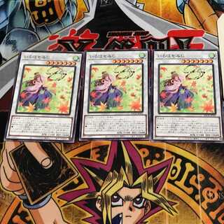 Iroha Momiji BACH 9 Normal, set of 3 Tera.