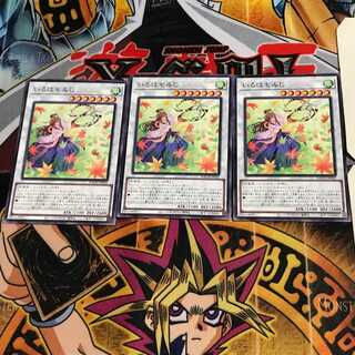 Iroha Momiji BACH 10 Normal, set of 3 Tera.