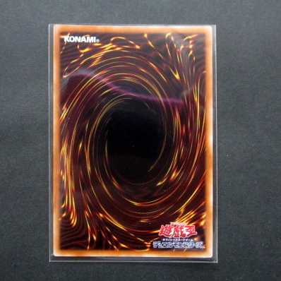 遊戯王 真紅眼の黒竜 20thシク 20thシークレット ファミーズ