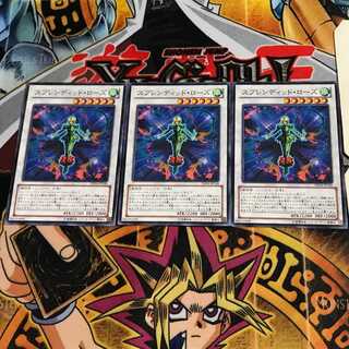 Splendid Rose DE04 2 Normal, set of 3 Tera