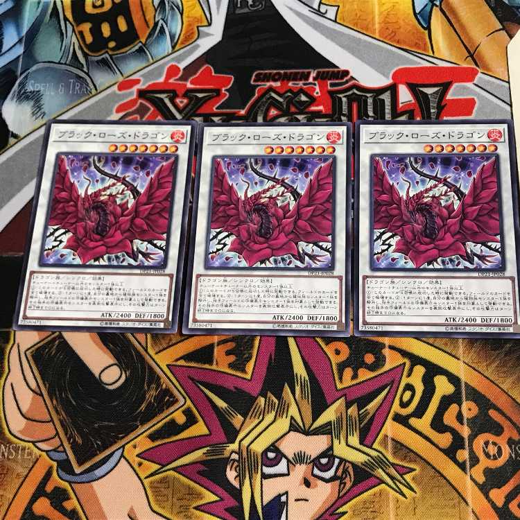 Black Rose Dragon DP21 8 Normal, set of 3 Tera.