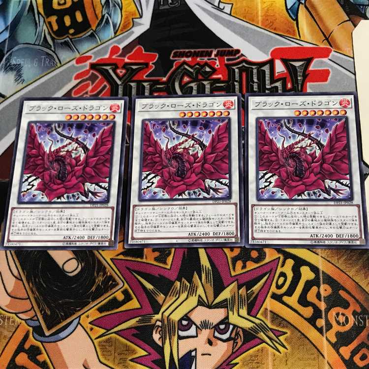 Black Rose Dragon DP21 10 Normal, set of 3 Tera.