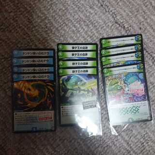 吸い込む 獅子王の遺跡 神回各四枚