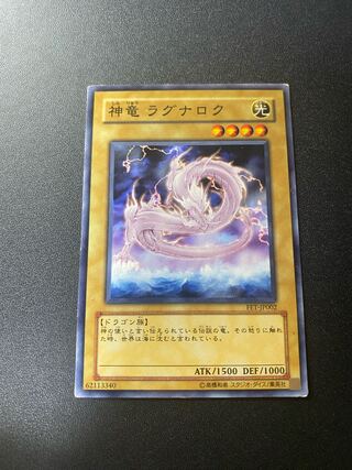 Ragnarok, the divine dragon