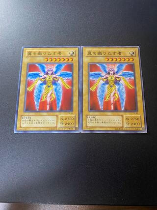 翼を織りなす者