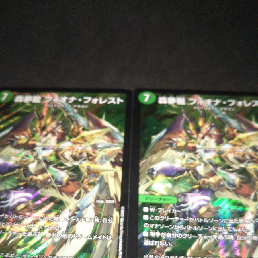 Forest Dream Dragon Fiona Forest SR S16/S20