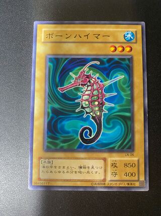 ボーンハイマー