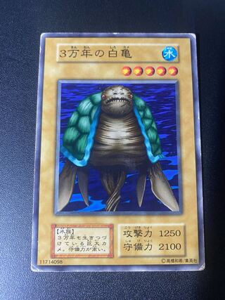 30,000 year old white turtle 1枚