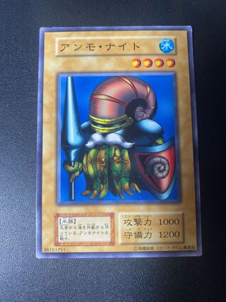 Ammonite Studio Dice