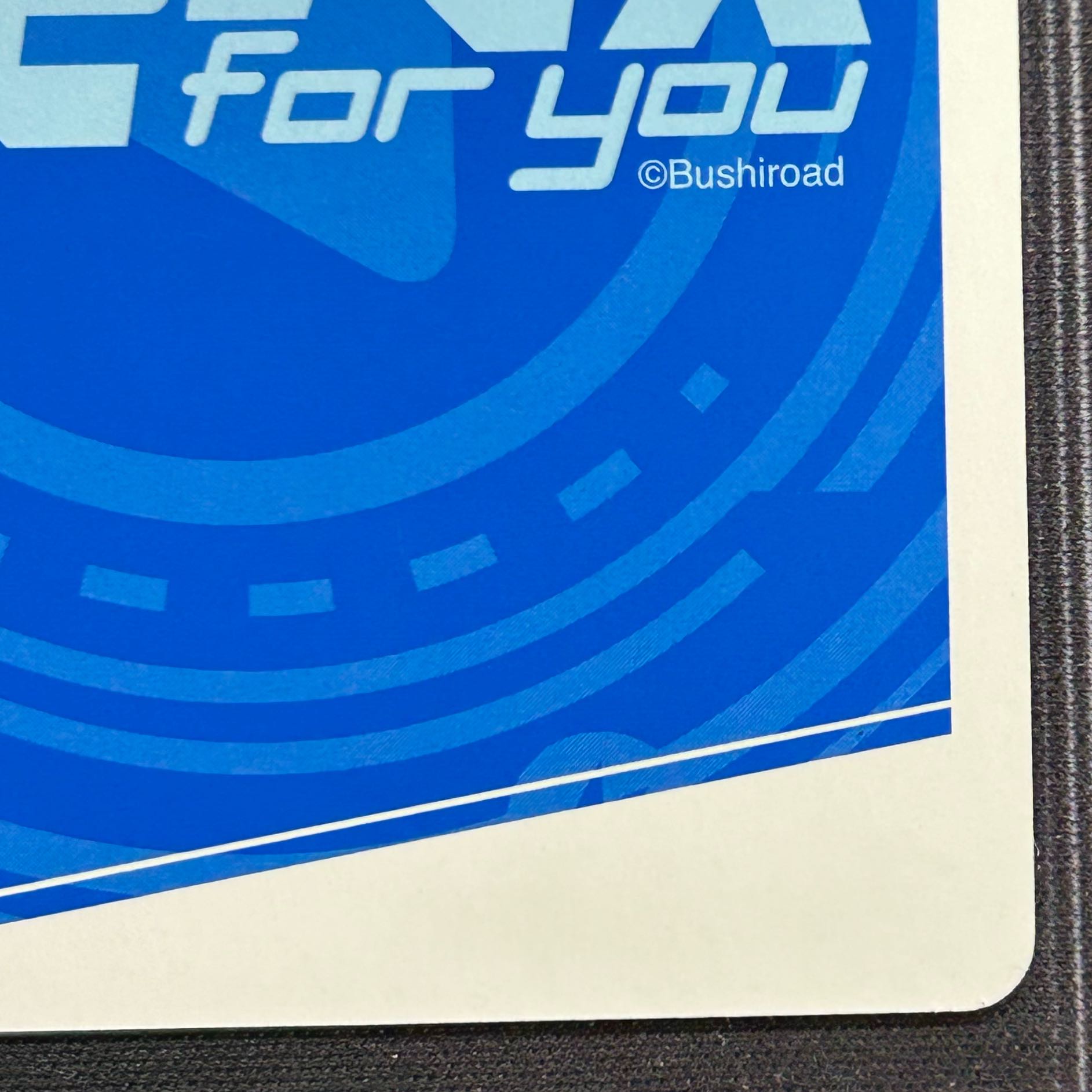 Reverse Memory Snow Rem SP RZ/001B-024SP [37-1013-11M