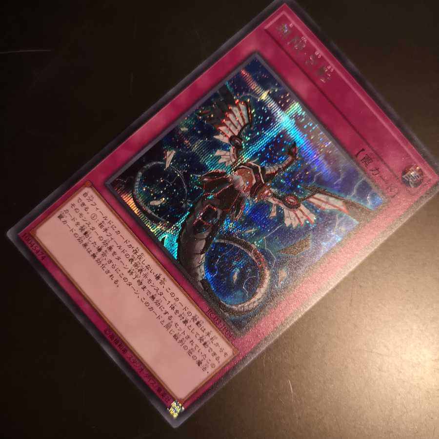 無限泡影　シク　RC03-JP049