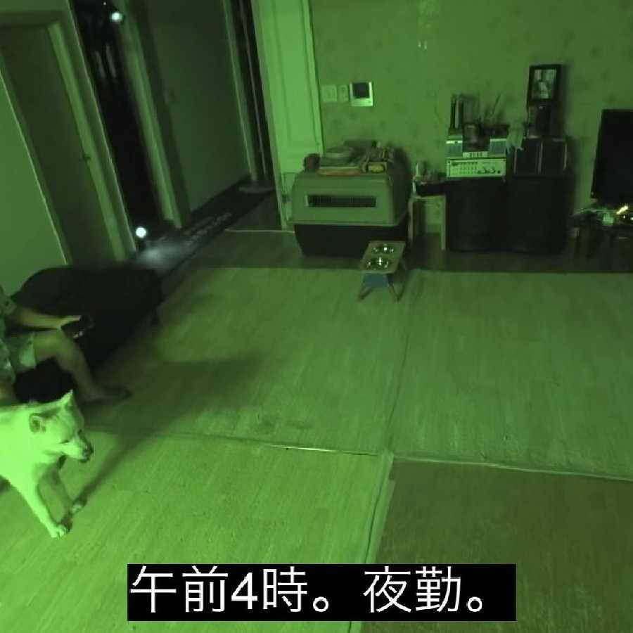 こっそりポケカ福袋