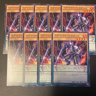 Igknight Paladin Normal JP029