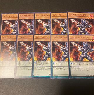 Igknight Crusader Normal JP027