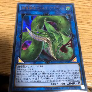 捕食植物ヴェルテアナコンダ