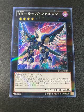 RR-Rise Falcon Parallel Normal JP028