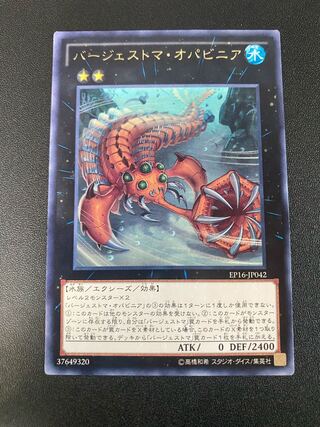 バージェストマ・オパビニア レア JP042