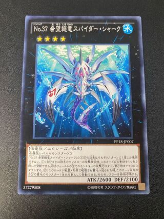 Number 37: Hope Woven Dragon Spider Shark Normal JP007